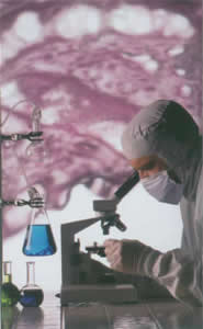 SJ-210 2-��ᶡ��-1��2��4 �����ᣨPBTC��  