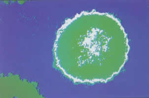 SJ-463B ��ʴ�蹸��