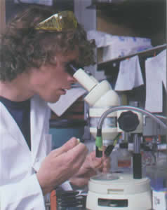 SJ-566 п����ʴ�蹸�����൱��N-7356��