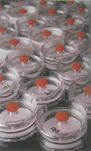 SJ-D-06 �糧�û�ʴ�蹸��