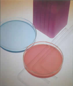 k1���� - ʮ��Ʒ�� ֵ������